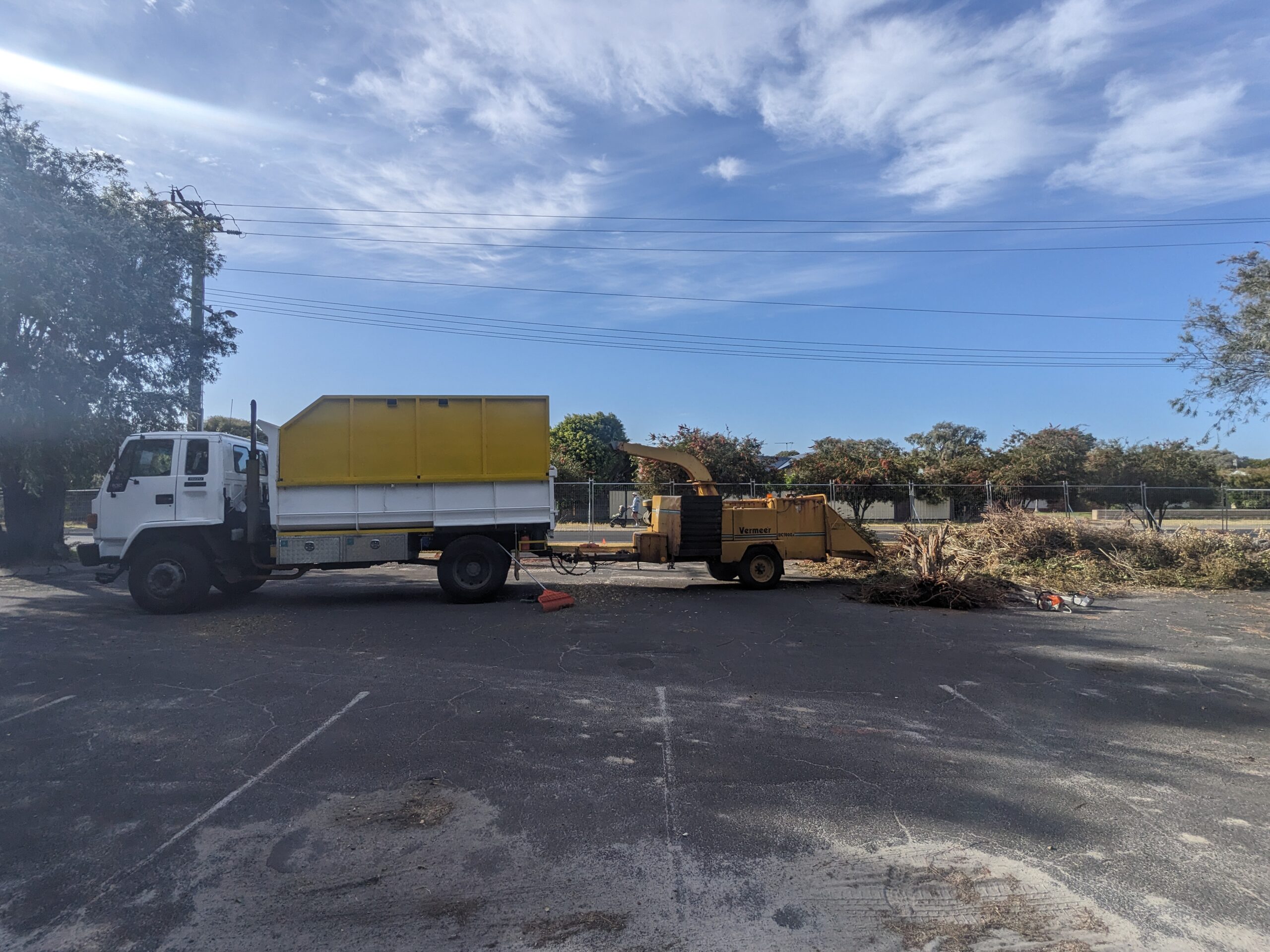 Removal of green waste with woodchipper and chipper truck